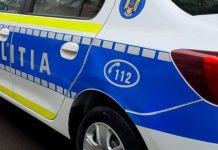 Vâlcea: Minori de 11 și 13 ani, cercetați pentru cruzime față de animale.